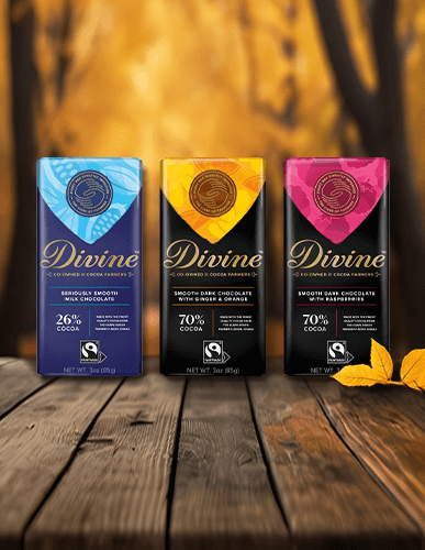 Three Divinge Chocolate bars for fall.